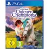 PS4 Wildshade Unicorn Champions Playstation 4 video spēle