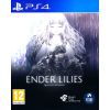 Ender Lilies Quietus of the Knights Playstation 4 (PS4) video spēle