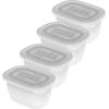 ROTHO Freeze - freezer container - 4x750ml