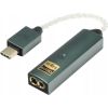 Ifi Audio iFi GO Link MAX | Portable DAC and Amp