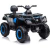Lean Cars Quad Battery S615 Blue 24V