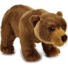 National Geographic Niedźwiedź Grizzly (003-70845)
