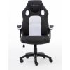 Raptor Gaming Stuhl GS-40 PU + fabric           schwarz/weiß