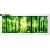 Foto glezna 50x125 Sunlight
