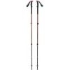 Black Diamond Trekinga nūjas TRAIL TREKKING POLES  Pine