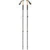 Black Diamond Trekinga nūjas TRAIL CORK TREKKING POLES  Laurel Green