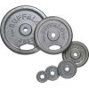 Buffalo Weight Plates 2x1.25kg svarcelšanas diski (65451)