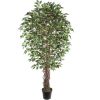 Mākslīgais koks WIND FICUS H210cm