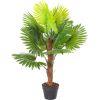 Zaļš augs FAN PALM, H100cm