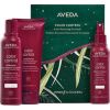 Aveda Color Control Set - Dárková sada pro barvené vlasy
