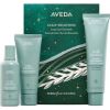 Aveda Scalp Solutions Set - Dárková sada vlasové péče