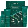Aveda Botanical Repair Set