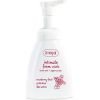 Ziaja Cranberry Foam Wash - Pěna pro intimní hygienu 250ml