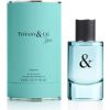Tiffany & Co Tiffany & Love For Him EDT 90ml