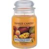 Yankee Candle Mango Peach Salsa Candle (Mango and Peach) - Scented Candle 623.0g