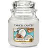 Yankee Candle Coconut Splash Candle - Scented candle 623.0g