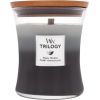Woodwick Trilogy / Warm Woods 275g