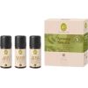 Primavera Freshness & Energy Aroma Sauna Set
