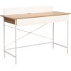 Desk FERDIE 120x48xH88cm, ash/white
