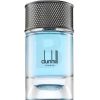 Dunhill Dunhill Signature Collection Nordic Fougere EDP M 100 ml
