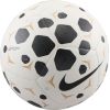 Nike Premier League Pitch Team HV6249-100 Ball (5)