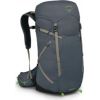Osprey Mugursoma Sportlite 30 M/L Alkaline/Hotspot Pink