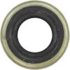 Oil seal C230/270/300, AH230, Echo