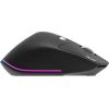 Acer Easy Fit wireless Mouse |2.4GHz and BT5.0 Black