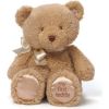 Spin Master GUND Plush toy My 1st Teddy, tan, 25 cm