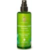 Primavera Borovice-cedr Bio - Květová voda 100ml