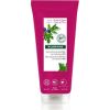 Klorane Nourishing Shower Gel ( Bio Fíkový list ) - Vyživující sprchový gel 200ml Smaržas - NESAKĀRTOTS