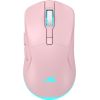 Baracuda BGM-124 Turtle Pink