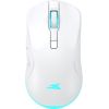 Baracuda BGM-122 Turtle White