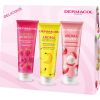 Dermacol Aroma Moment Mix Fruit Set - Dárková sada Smaržas - NESAKĀRTOTS