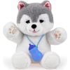 Dumel Piesek Husky