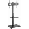 TV stiprinājums Gembird 37" - 75" TV floor stand with caster wheels TV un monitoru stiprinājumi, kronšteini