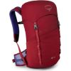 Osprey Mugursoma Jet 18  Cosmic red Pюкзак