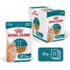 ROYAL CANIN FHN Cat Ageing 11+ Gravy 12x85g Консервы кошек