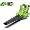 Akumulatora lapu pūtējs Greenworks GD40BVIIK4; 40 V; 1x4,0 Ah akum. Садовые пылесосы