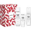 Goldwell Bond Pro Set - Dárková sada Smaržas - NESAKĀRTOTS