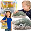 Leantoys Śpiący Pies Husky Na Poduszce Figurka z Futerkiem Torba Dźwięki EDUKAMP Мягкие игрушки