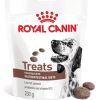 ROYAL CANIN Dog Gastrointestinal Treats - dog treat - 230g Suņu barība