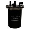 DEGVIELAS FILTRS ar korpusu FT39124 Degvielas filtri