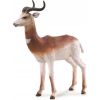 Figurka Collecta DAMA GAZELLE Фигурки и герои