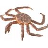 Figurka Collecta KING CRAB Figūriņas un varoņi
