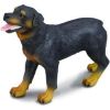 Figurka Collecta Pies rasy Rottweiler (004-88189) Фигурки и герои