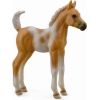 Figurka Collecta Źrebię Pinto Foal Palomino (004-88669) Фигурки и герои