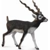 Figurka Collecta Antylopa Blackbuck (004-88638) Фигурки и герои