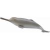Figurka Collecta Delfin z rzeki Ganges (004-88611) Фигурки и герои