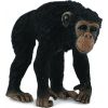 Figurka Collecta Szympans samica (004-88493) Фигурки и герои